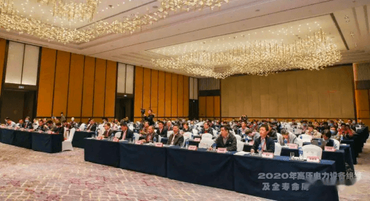远东电缆受邀参加2020年高压电力设备绝缘及全寿命周期管理会议